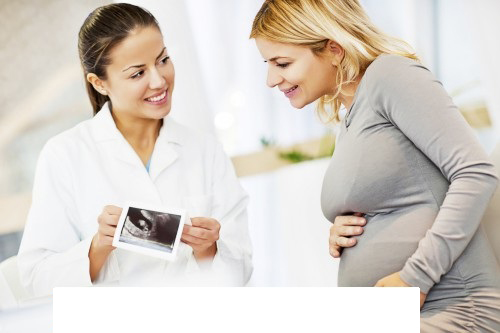 Mails STORE Obstetrics-Gynecology-Email-List-Mailing-Lists-Mails-STORE Obstetrics/Gynecologists Email List | Gynecologists Mailing Addresses Database